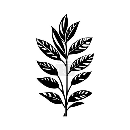 Bay Icon Hand zeichnen schwarze Farbe Pflanze Blatt Logo Vektorelement und Symbol