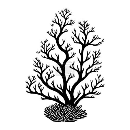 Staghorn Icono mano dibujar color negro logotipo de coral elemento vectorial y símbolo