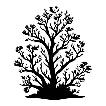 Staghorn Icono mano dibujar color negro logotipo de coral elemento vectorial y símbolo