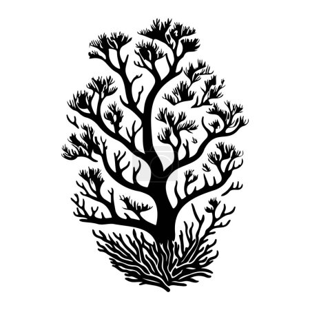 Ilustración de Staghorn Icono mano dibujar color negro logotipo de coral elemento vectorial y símbolo - Imagen libre de derechos