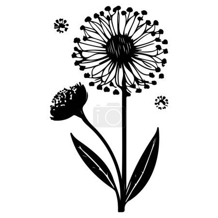 Illustration for Spring dandelion flower illustration sketch draw element - Royalty Free Image