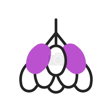 Palmdates icon duotone purple black ramadan illustration symbol