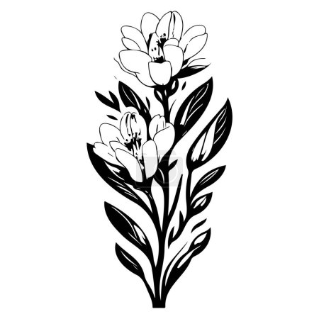 freesia flower illustration sketch element