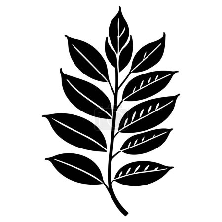 rowan leaf plant floral illustration sketch element