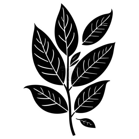 rowan leaf plant floral illustration sketch element