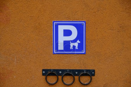 Téléchargez les photos : Fixed on wall building rings for tying dog - en image libre de droit