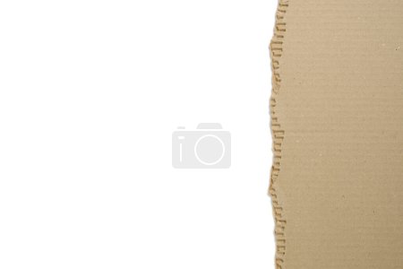 Photo for Piece torn corrugated cardboard on white background - Royalty Free Image
