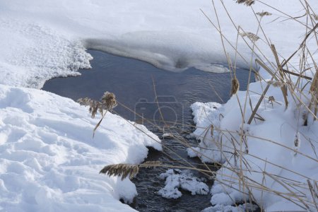 Téléchargez les photos : Au milieu de la neige, un printemps coule vers un lac gelé, tableau serein de la beauté hivernale, où le liquide rencontre la tranquillité glacée - en image libre de droit