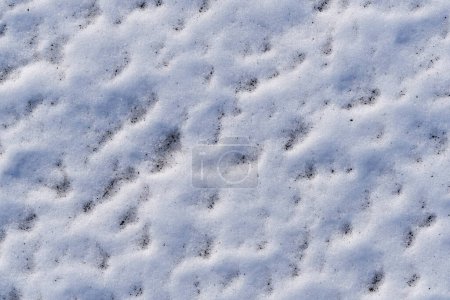 Nahaufnahme Textur aus Schnee, präsentiert komplexe kristalline Muster, perfekt für Winter-Themen-Designs und saisonale Konzepte