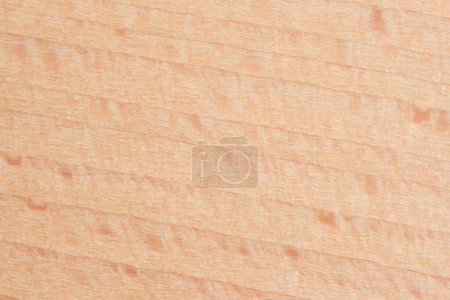 Zeitgenössische Buchenholz Textur. Sauber und schnittig, geeignet für eine moderne Design-Ästhetik