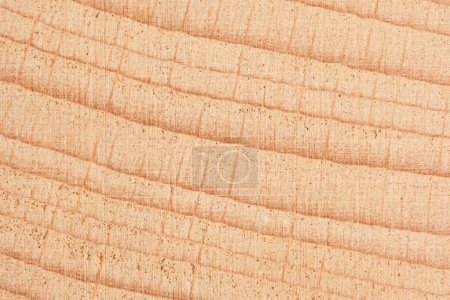 Texturierte Buche Holz Maserung Hintergrund. Detaillierte Maserungen verleihen den Designs organische Authentizität