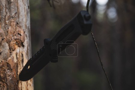Hunting knife stuck in a tree in the forest. Hunting equipment
