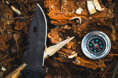 Hunting knife and hunting compass background forest