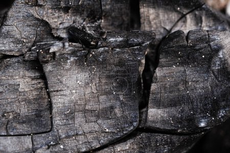 Charbon de bois brûlé en gros plan comme fond