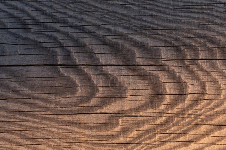 Photo for Wooden texture. Wooden background. pattern. Showing growth rings - Royalty Free Image