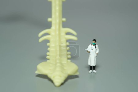 Foto de Miniature people toy figure photography. A female doctor standing above spine back bone on grey background. Image photo - Imagen libre de derechos