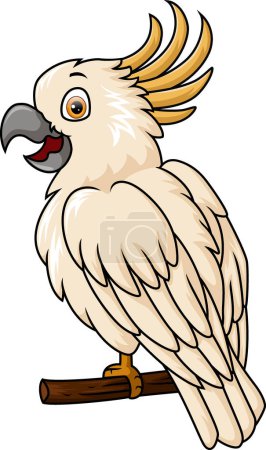 Illustration for Vector illustration of Cute white cockatoo on tree branch - Royalty Free Image