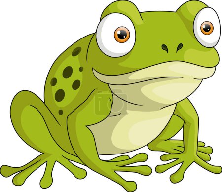 Téléchargez les photos : Illustration vectorielle de Mignon dessin animé grenouille sur fond blanc - en image libre de droit