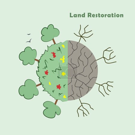 Téléchargez les illustrations : Restauration des terres et revitalisation des écosystèmes pour un environnement plus sain, avant et après comparaison, illustration vectorielle de l'écologie - en licence libre de droit