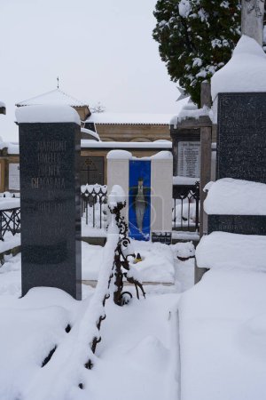 Téléchargez les photos : Prague, République tchèque - 3 décembre 2023 - Hiver à Prague. Le Slavin - le cimetière de Vysehrad par un après-midi enneigé - en image libre de droit