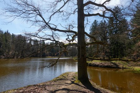 Pruhonice, Tschechien - 29. März 2024 - der Labeska-Teich im Pruhonice-Park in der Nähe von Prag zum Frühlingsanfang                                 