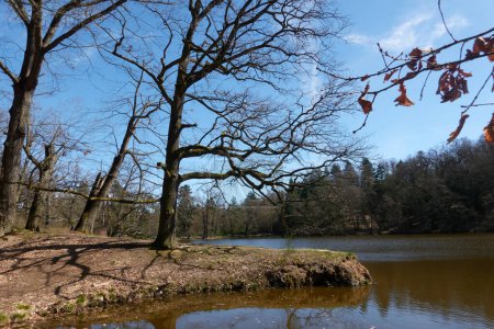 Téléchargez les photos : Pruhonice, République tchèque - 29 mars 2024 - l "étang Labeska dans le parc Pruhonice près de Prague au début du printemps - en image libre de droit