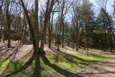 Photo for Pruhonice, Czech Republic - March 29, 2024 - The Chateau Park at Pruhonice Chateau near Prague at the beginning of spring - Royalty Free Image