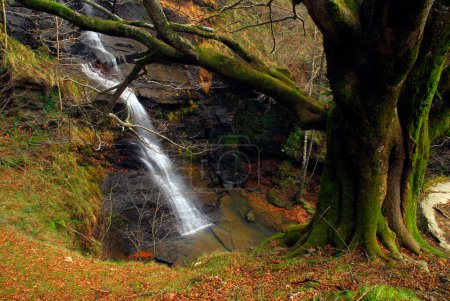 Foto de Cascada Uguna en el Parque Natural de Gorbeia. País Vasco. España - Imagen libre de derechos