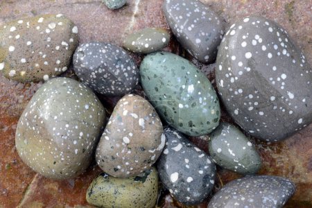 Foto de Las rocas erosionadas por las olas del mar en una playa - Imagen libre de derechos