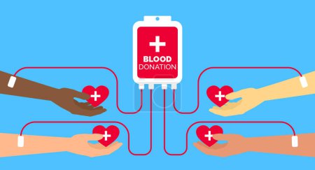 Téléchargez les illustrations : Don de sang transfusion multiraciale donneur mains tenant coeur rouge vecteur illustration - en licence libre de droit