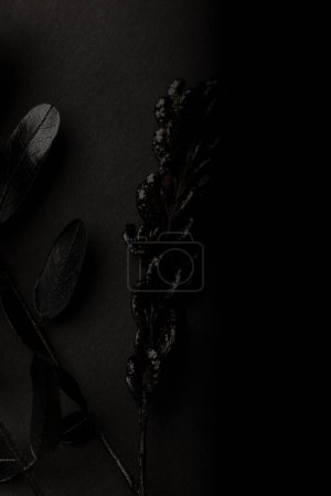 Téléchargez les photos : Black leaves texture pattern on black background. Black monochrome creative creative wallpaper. Texture for design. - en image libre de droit