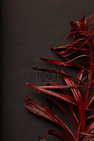Téléchargez les photos : Red leaves texture pattern on black background. Red and black creative creative wallpaper. Texture for design. - en image libre de droit