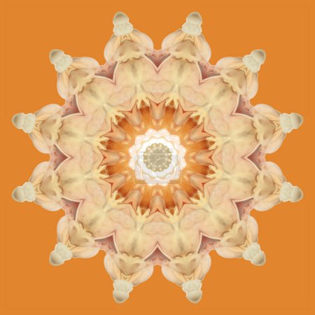 Téléchargez les photos : Yellow solar patterns. Yellow fractals in the form of mandala. - en image libre de droit