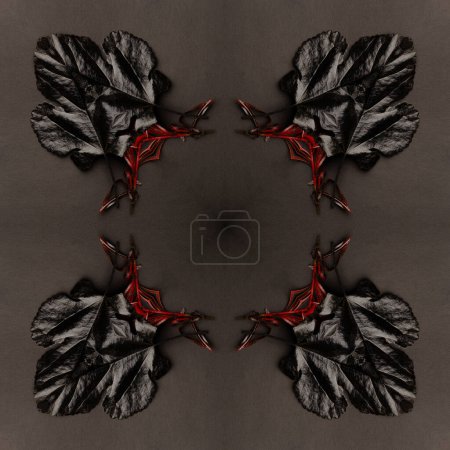 Foto de Marco cuadrado rojo y negro hecho de patrones de plantas góticas. Plantilla para texto y diseño gráfico. - Imagen libre de derechos