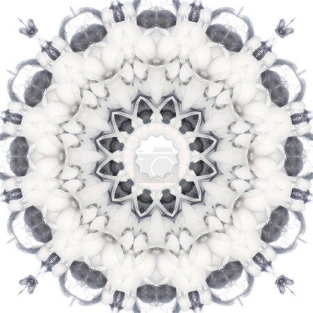 Foto de White texture background from fractal flowers. - Imagen libre de derechos