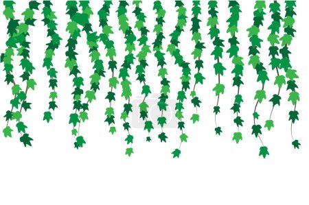 Illustration for Green Ivy Background. Nature plants and flowers concept vector - Royalty Free Image