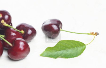                                There is a red fruit on a cherry branch on a white background