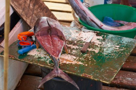 Foto de A tropical fish in fish market outdoor - Imagen libre de derechos