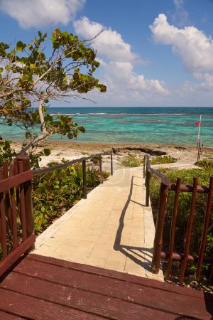 Téléchargez les photos : Passage vers une plage tropicale sur les rives de la mer des Caraïbes - en image libre de droit