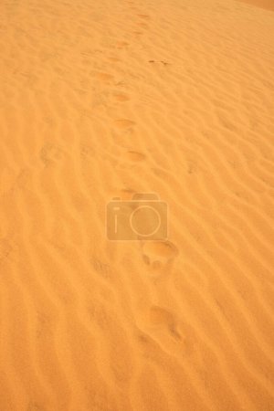 Foto de Huellas viejas en la arena en el desierto - Imagen libre de derechos