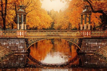 Téléchargez les photos : Un joli petit pont sur une petite rivière dans un parc d'automne - en image libre de droit