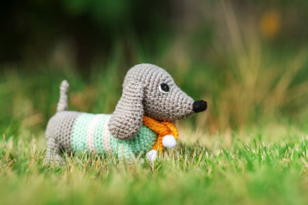 Foto de Fotos lindas de la aventura de un perro salchicha de juguete - Imagen libre de derechos