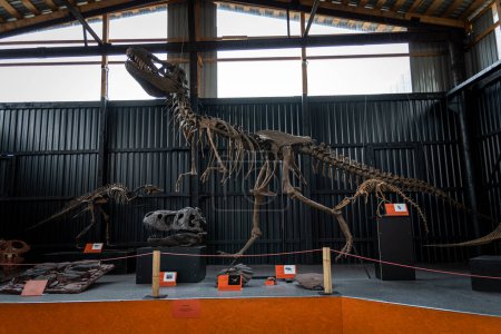 Photo for Skeleton of the dinosau. Paleontological Museum of Natural History Paleopark. April 19, 2022. Russia Altai - Royalty Free Image