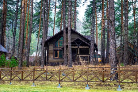 Téléchargez les photos : Forêt et grande maison en elle dans la journée d'été. Pluie sur la photo, pas bruit - en image libre de droit
