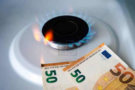 Téléchargez les photos : Europe euro brûle dans le feu. concept la hausse du prix du gaz en euros. un billet brûle dans un feu sur une cuisinière à gaz. Approvisionnement coûteux en gaz - en image libre de droit