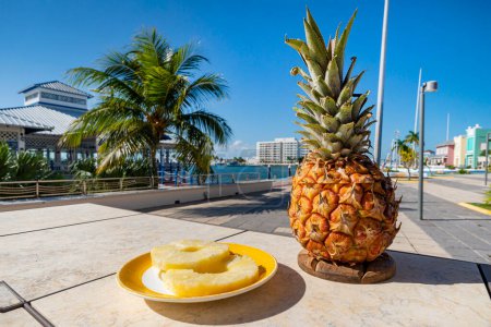 Téléchargez les photos : Pina colada, cocktail alcoolisé traditionnel caribéen à base de rhum au lait de coco et au jus d'ananas, dans la rue - en image libre de droit