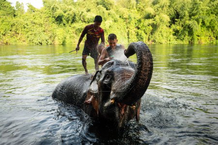 Téléchargez les photos : Gros éléphant se baignant dans la rivière et se pulvérisant d'eau, guidé par leur maître. river kwai. Nord de la Thaïlande. Juillet 5, 2023. - en image libre de droit