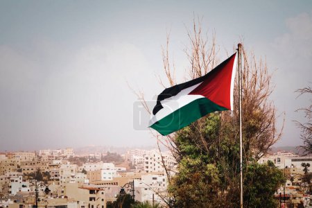 Foto de La bandera de Palestina en la montaña en el fondo de las casas en la ciudad. Arquitectura de Oriente Medio. - Imagen libre de derechos