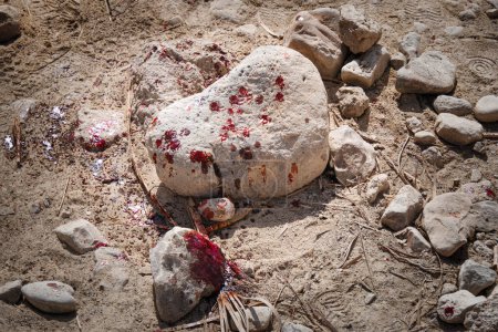Photo for Close up of stains of fresh blood on crushed stone chippings in desert. Murder with the use of stone. Attacking with hard rock. Killing in desert. Locus delicti. Murder weapon. Violent struggle - Royalty Free Image