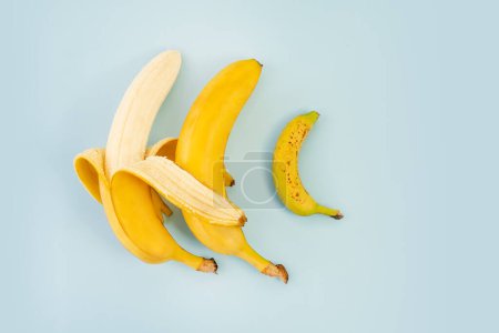 Foto de Plátanos amarillos tienen sexo aislado sobre fondo azul. ternura. signo, símbolo, idea de concepto de abrazar a la pareja en el amor - Imagen libre de derechos